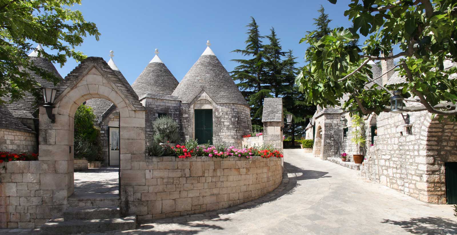 Tenuta Monacelle in Selva di Fasano, Italy