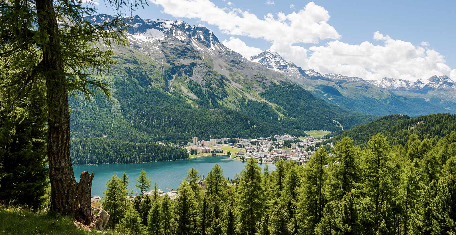 Chalet Speciale