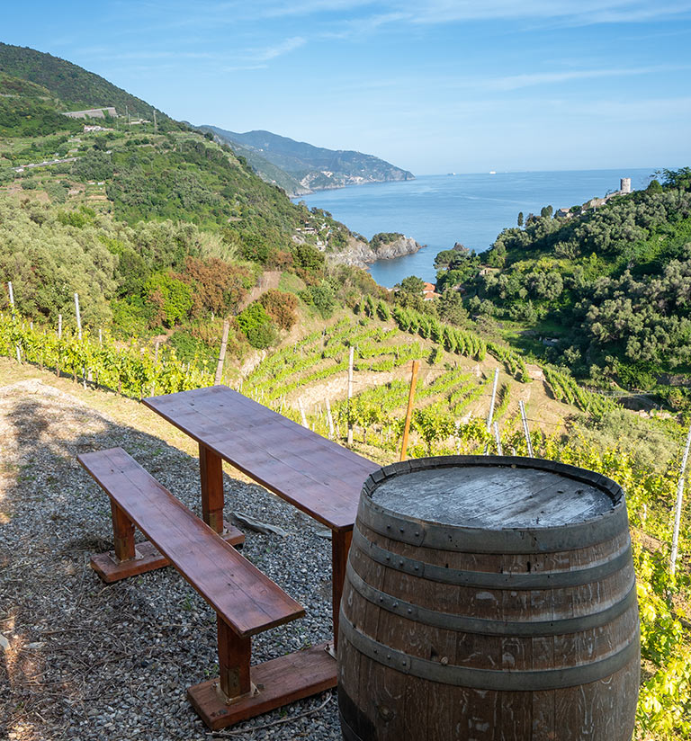 Agriturismo Buranco in Monterosso al Mare, Italy
